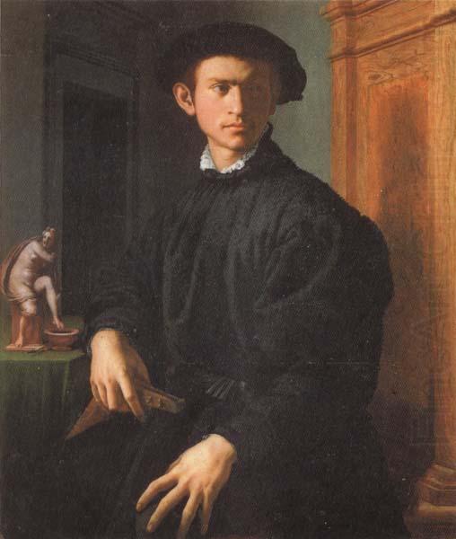 Portrait of a Young Man with a Lute, Agnolo Bronzino